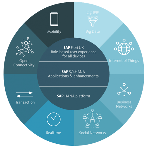 hana-overview-grafik-1011x1024
